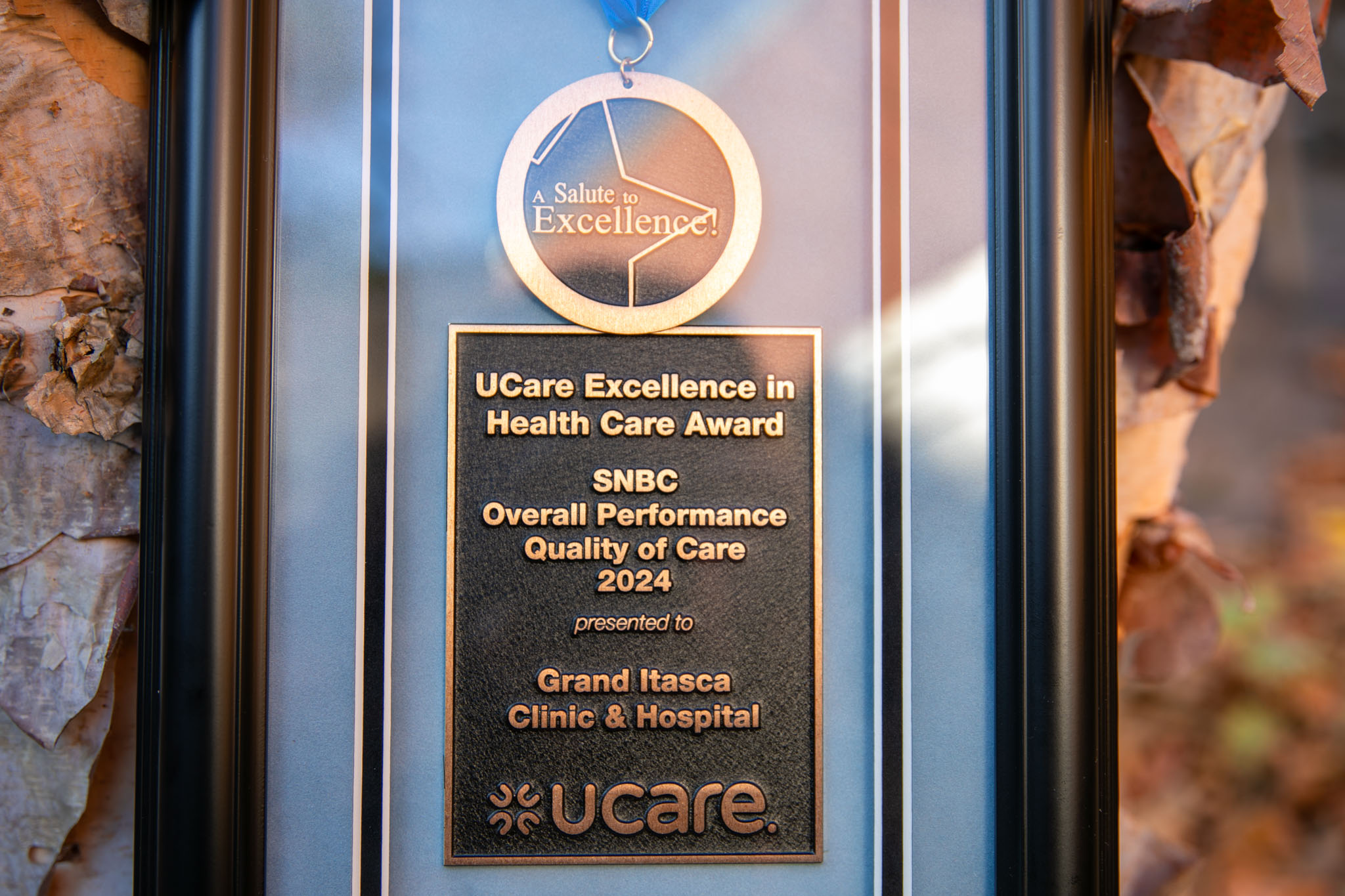 UCare-Award-2024-2