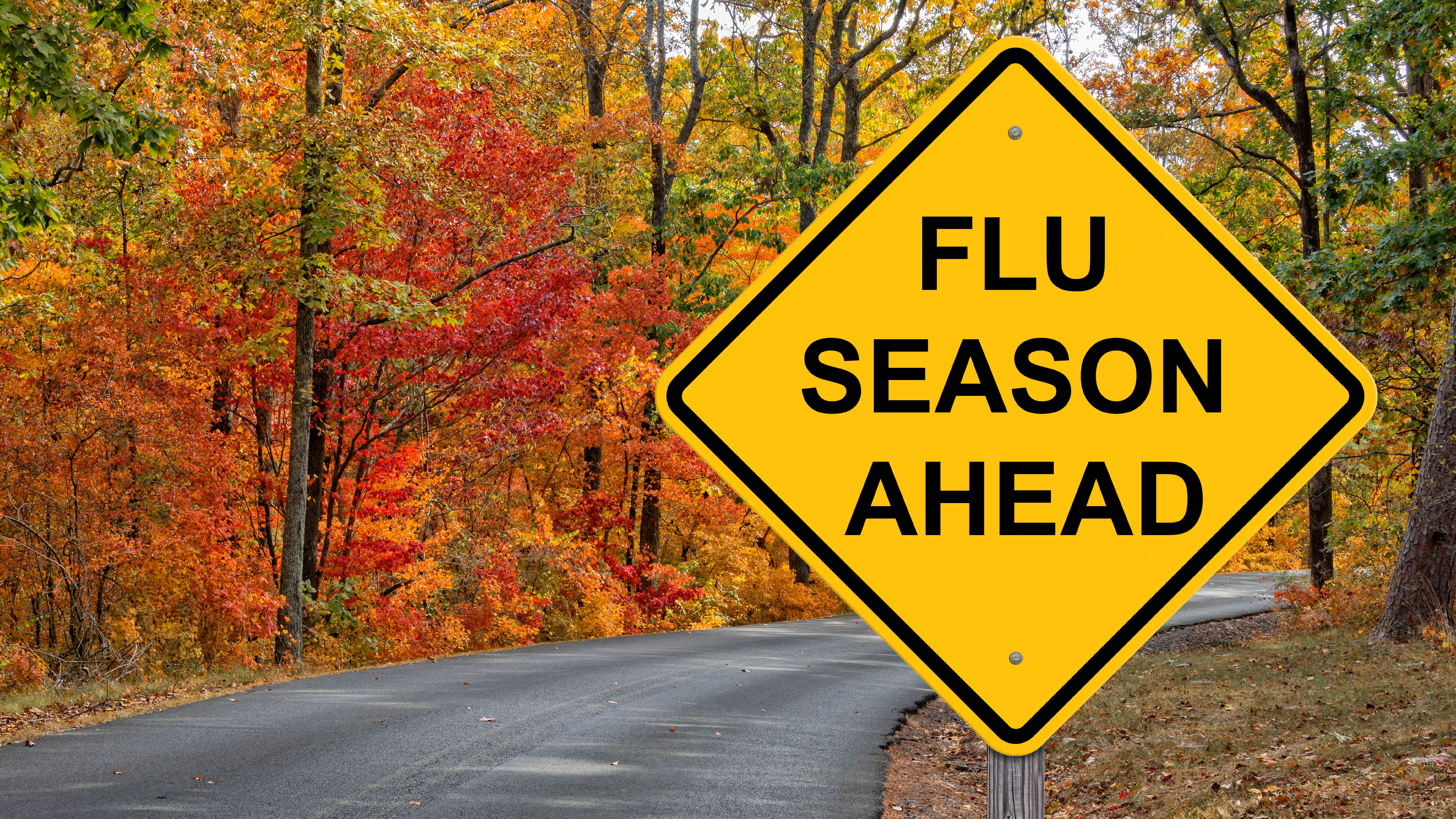 Flu Season Ahead Sign with Fall Background